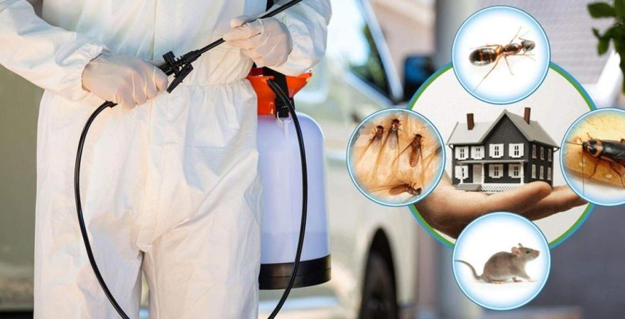 Taşkent Böcek İlaçlama