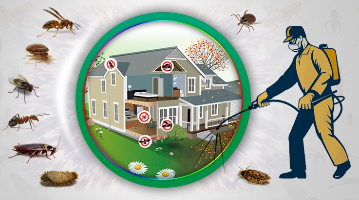 Taşkent Böcek İlaçlama