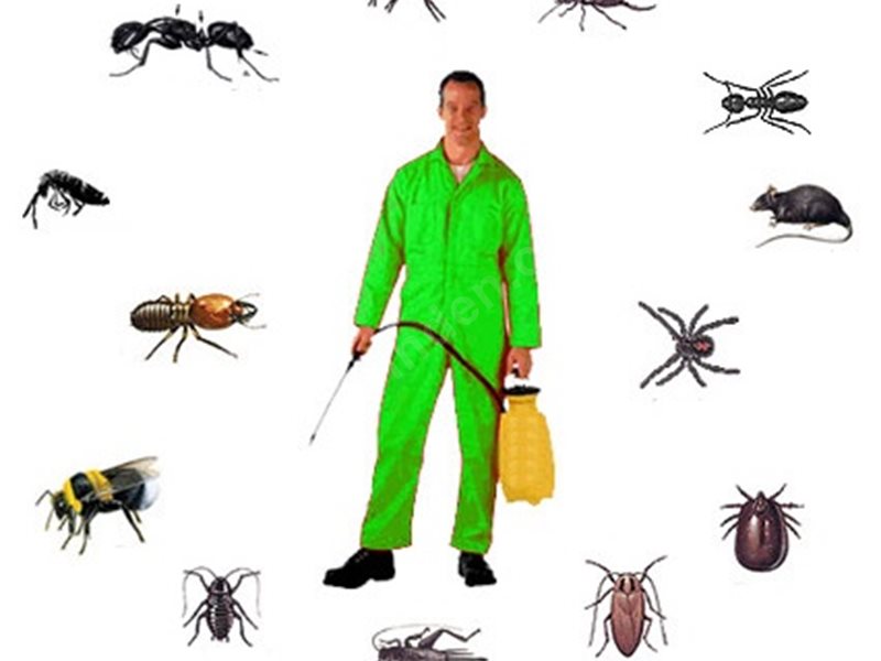 Taşkent Böcek İlaçlama